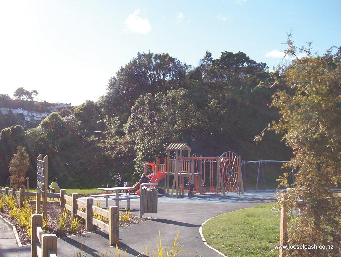 Lyndfield Lane Park and Childrens Playground, Bush Walk climbs the ridge in the backround, by Loose Leash Dog Walking Service Newlands Johnsonville Wellington
