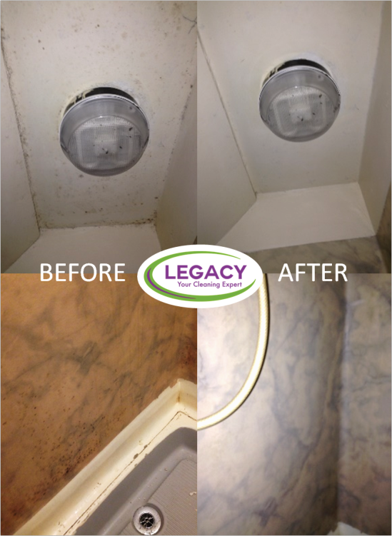 Mould Removal and Treatment