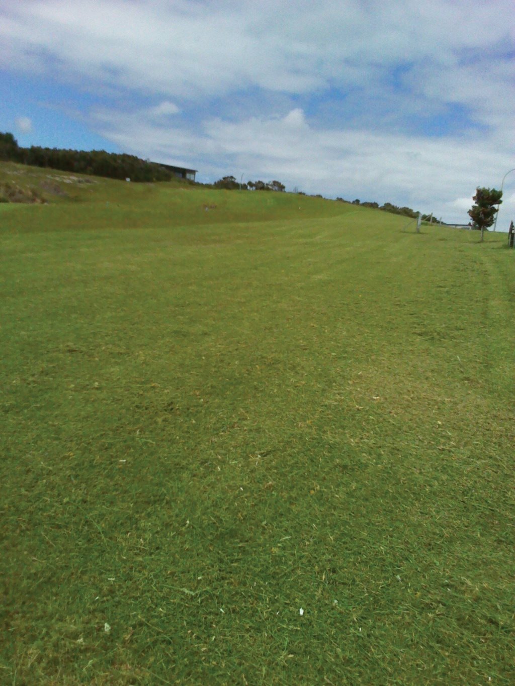 Dudley section in Cable Bay/Doubtless Bay. Lawnmowing.