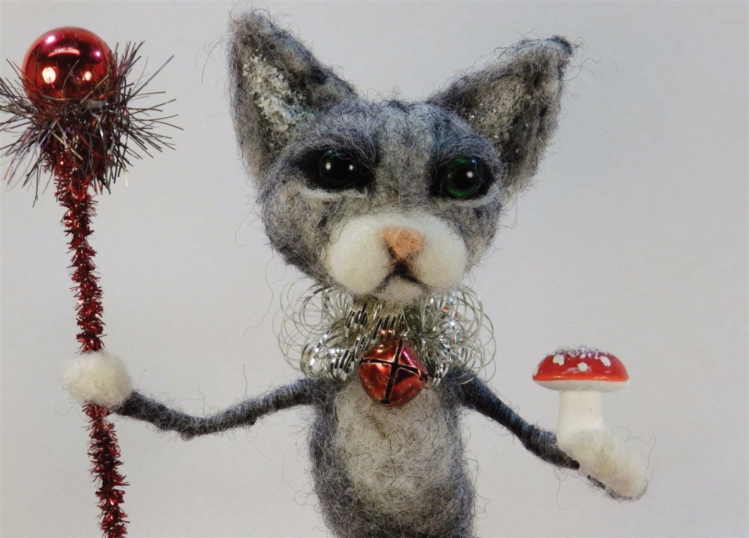 Dray Kitten #1